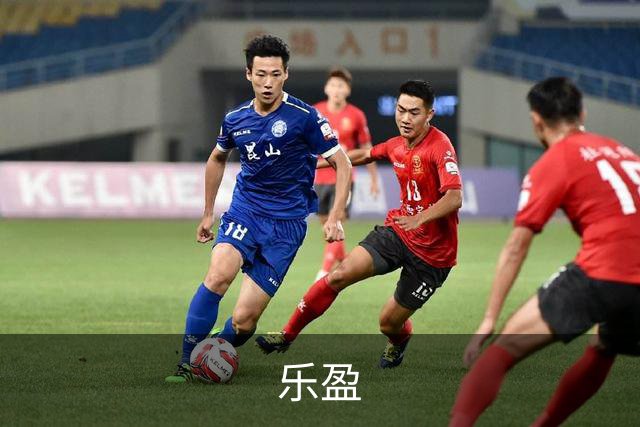 乐盈公司简介配图